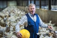Van Zakenman tot Geitenboer